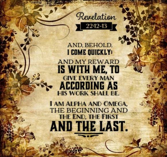 Meet your Posh Ambassador, Jodee. - Picture 4 of 5